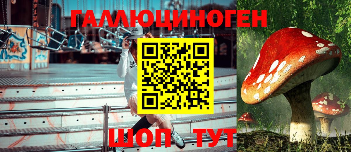 Екатеринбург  Псилоцибиновые грибы Psilocybine cubensis  Вход с VPN 