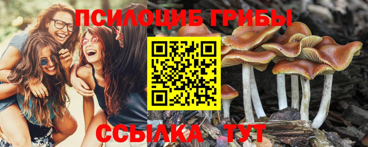 Галлюциногенные грибы Cubensis Екатеринбург